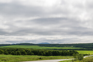 Obraz premium Summer landscape with green meadows, road and clouds 