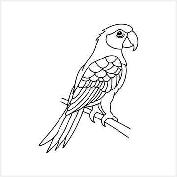 recommend clip art: Black and white coloring page Animals parrot icon Vector stock illustration