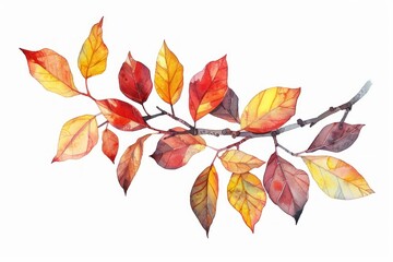 Naklejka premium Autumn watercolor leaves branch