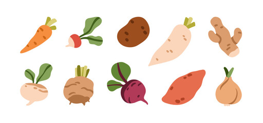 Root vegetable set. Carrot, daikon radish, sweet potato, beet, onion, turnip, celery, ginger and rutabaga tuber. Natural food, veggies icons. Flat vector illustration isolated on white background