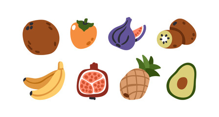 Tropical fruit set. Coconut, persimmon, fig, cut kiwi, banana, pomegranate half, whole pineapple, avocado icons. Fresh healthy summer food. Flat vector illustration isolated on white background