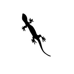 Vector silhouette lizard 