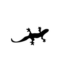 Vector silhouette lizard 