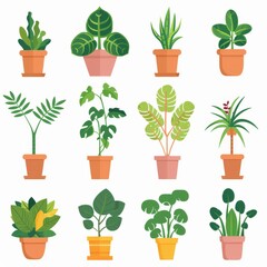 Obraz premium Hoya (Waxplant, Waxvine, Waxflower) Houseplants Pot Plant Icon Set, Hoya Plant Flat Design