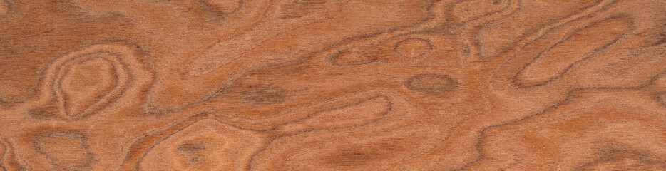 Elm burl veneer surface with a mesmerizing array of cinnamon swirls and deep amber accents