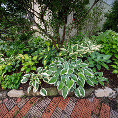 梅雨が明けぬ朝