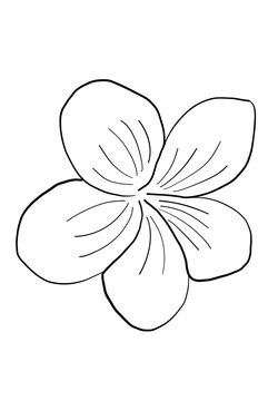 recommend clip art: Frangipani