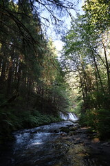 Obraz premium minimal sun brightening river with rocks from waterfall with luscious forest surrounding