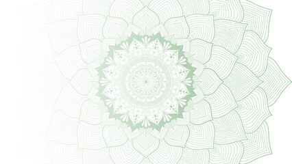 Fototapeta premium Round mandala on colorfull gradient background. Translucent mesh pattern in the form of a mandala. Mandala with floral patterns. Pastel Yoga template. Gradient background with round mandala. Bg, FG