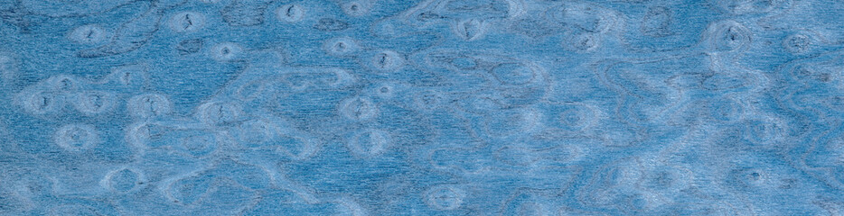 Cerulean dreams undulate in this mesmerizing ash burl veneer, a dance of azure and cobalt