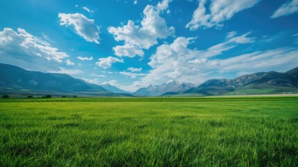 Obraz premium Serene landscape with a green field, blue sky, and mountain range, showcasing the tranquility of nature.
