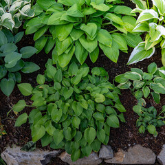梅雨が明けぬ朝