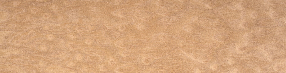 Elegant maple burl veneer showcasing swirling grain patterns in warm sandy hues