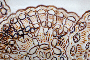 Round crochet-like shapes on glazed pottery surface
