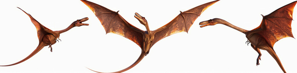 Fototapeta premium flying Pterodactyls on white background, 