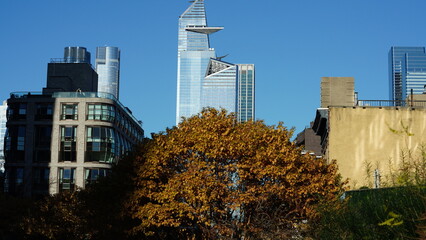 The beautiful New York city view with the colorful autumn trees and buildings as background in autumn