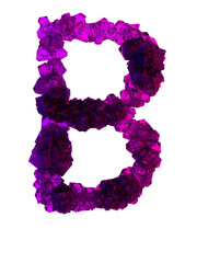 Letter B made of many growing crystals in red and blue light, 3d rendering