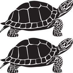 turtle vector illustration