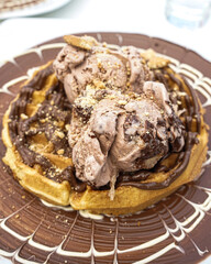 Waffle with chocolate ice cream and biscuit