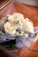 Closeup of a wristlet corsage for the prom, with white roses and a blue ribbon