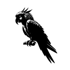 parrot Silhouette , parrot illustration