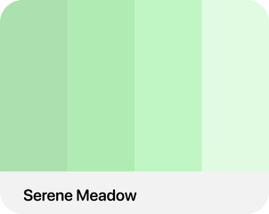color palette with soft color style