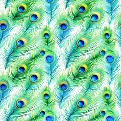 Obraz premium Watercolor Peacock Feather Seamless Pattern, Aquarelle Plumage, Watercolor Exotic Feather Tile