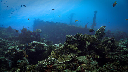Underwater photo of the USS Liberty shipwreck from World War Two, WWII. From a scuba dive in Bali, Indonesia, Asia