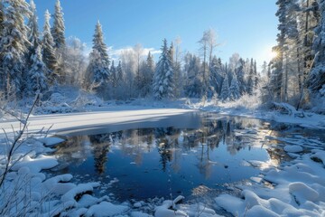 Snowy forest at the winter