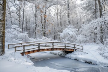 Snowy forest at the winter