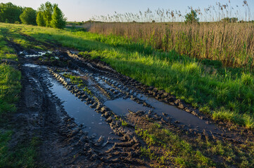 One dirt road after rain with puddles.