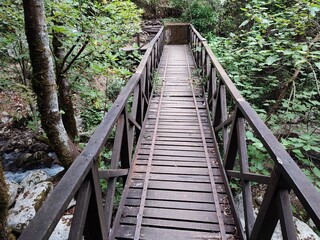 Fototapeta premium Morigerati - Ponte sul Fiume Bussento