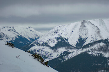 Obraz premium polish tatra mountains in winter weather