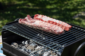 Image of raw pork ribs spread out on a grill, above glowing charcoal, set against an outdoor backdrop illustrating preparation of a traditional barbecue meal.