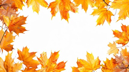 Autumn Leaves Frame with White Background.