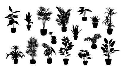 Obraz premium Silhouettes of different House Plants in pot set. Collection of indoor potted decorative houseplants for interior home, office decoration. Monochrome vector illustrations on transparent background.