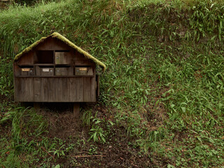 A weathered wooden mailbox with a moss-covered roof sits on a hillside covered in lush green grass. 