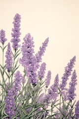 Naklejka premium An isolated lavender flower backgrounds blossom.
