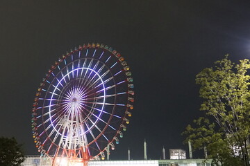 Ferris Wheel at night