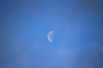 下弦の月 Halfmoon