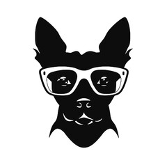 black and white image of a dog wearing glasses