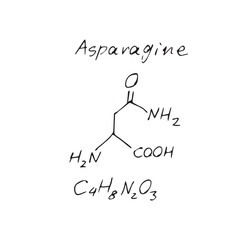 Asparagine C4H8N2O3 molecule formula. Hand drawn imitation of asparagine structural model