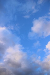 下弦の月　Halfmoon　月のある景色
