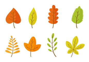 Fototapeta premium Set of cartoon autumn leaves on white isolated background.