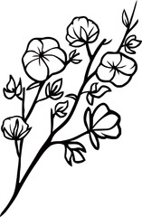 Fototapeta premium cotton plant line illustration design