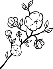 cotton plant line illustration design