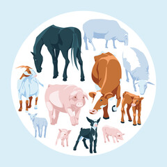 Round and square set of domestic farm animals. Vector flat illustration. Farming and agriculture