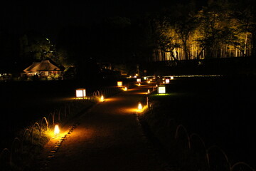 幻想庭園　日本庭園