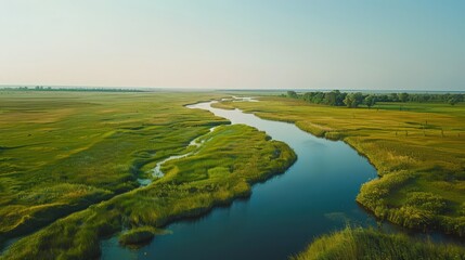 Obraz premium Capture an expansive aerial view of serene wetlands, with waterways weaving through lush green marshes under a clear sky.