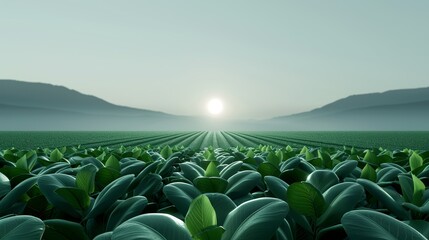 Fototapeta premium Graphic visualization of carbon offset projects, including reforestation and renewable energy investments, to achieve net-zero emissions. Illustration, Image, , Minimalism,